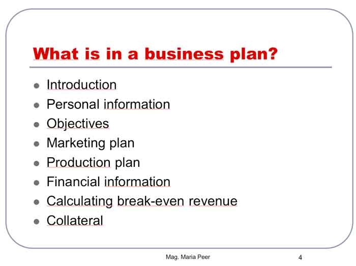Business Plan: Conclusion
